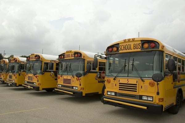 Row of school buses in parking lot
