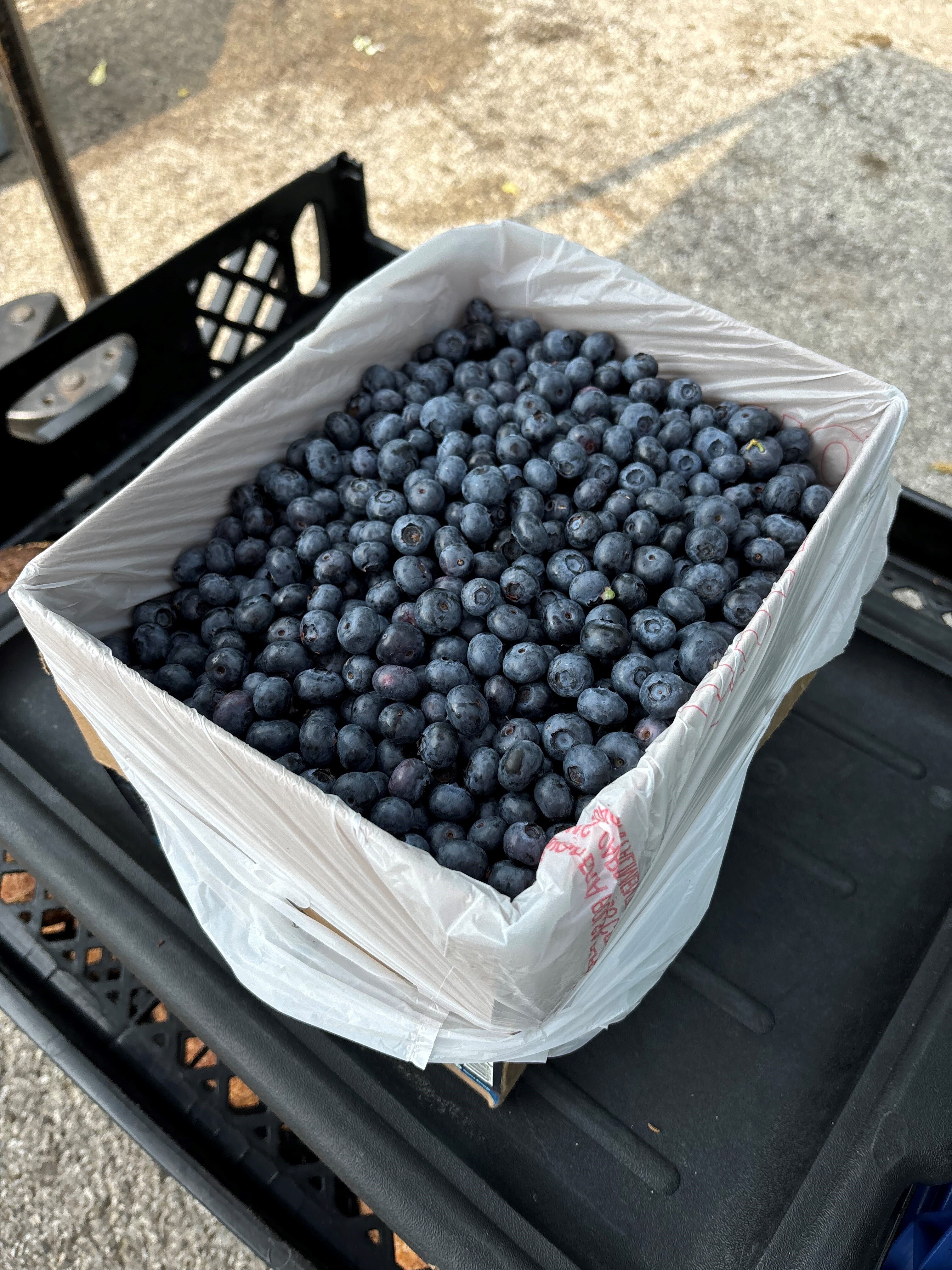 Blueberries