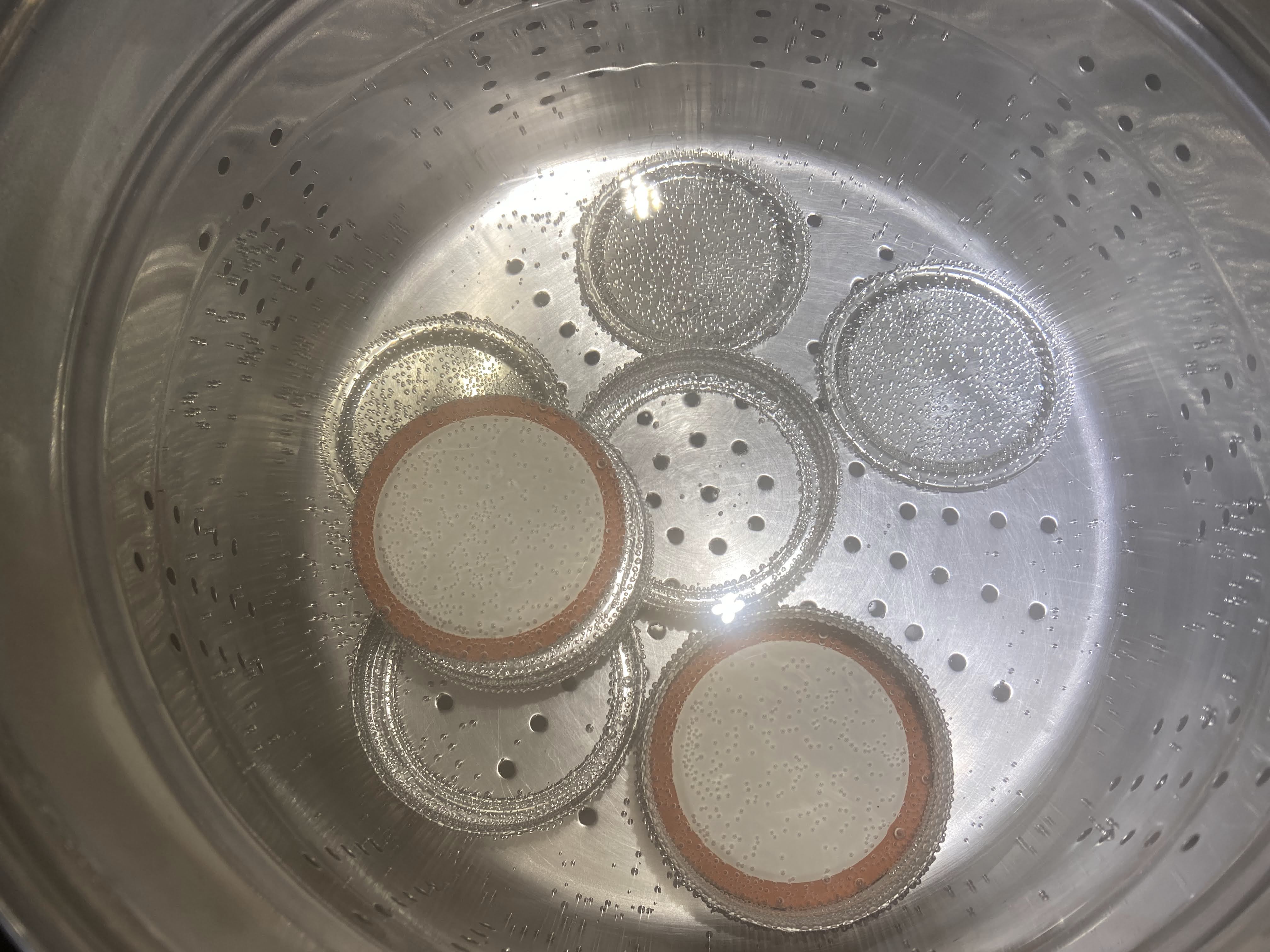 Sterilizing rings and lids