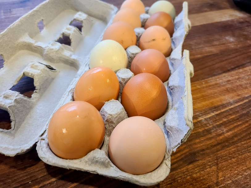 Chicken eggs
