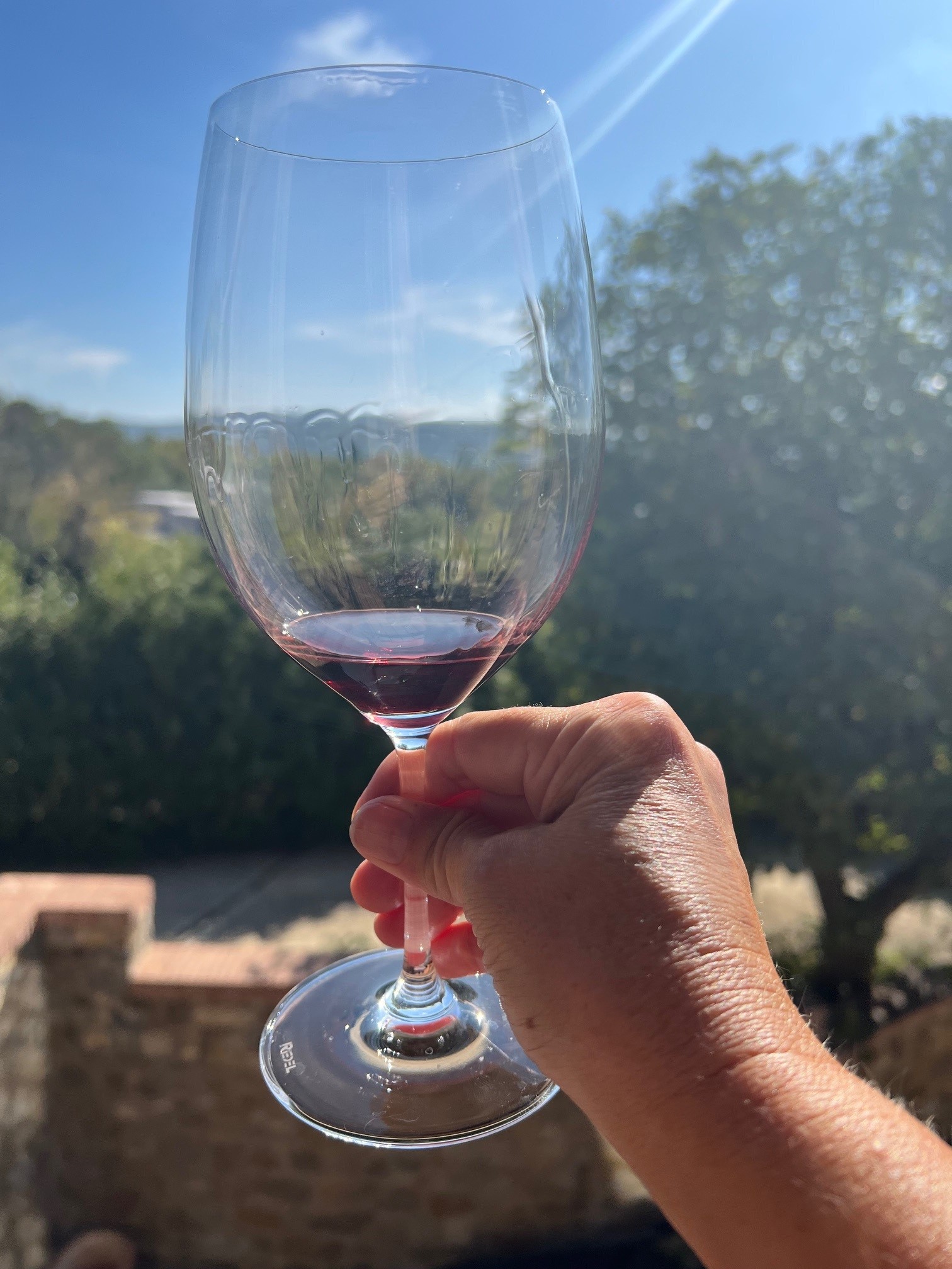 Fontodi Wine Tasting