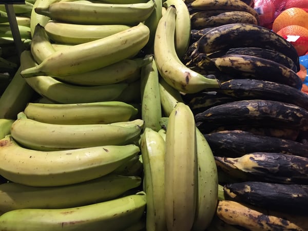 green and ripe plantain