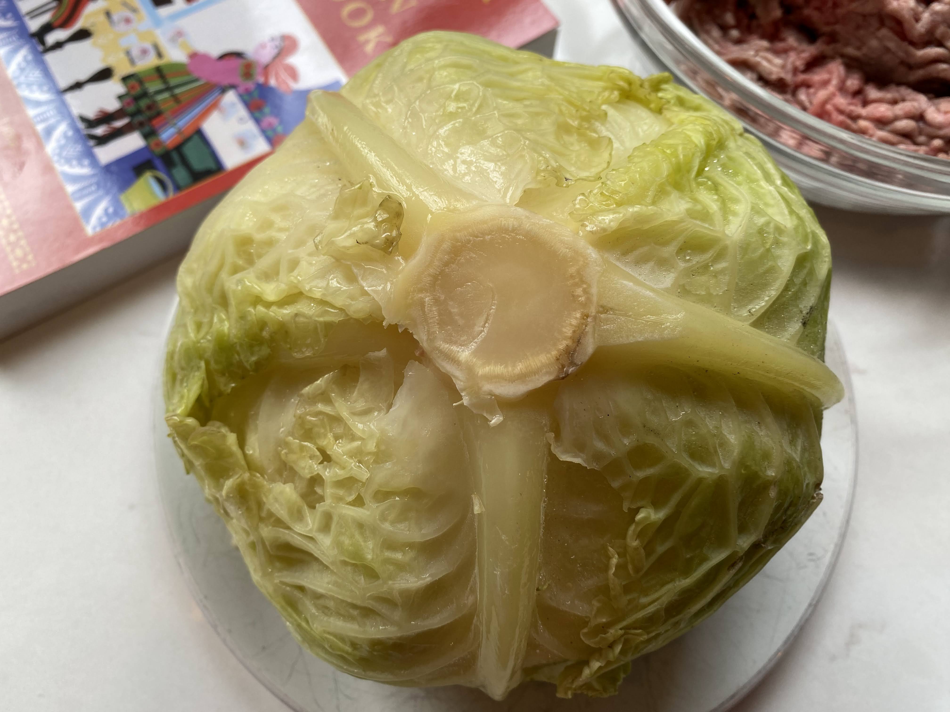 head of cabbage
