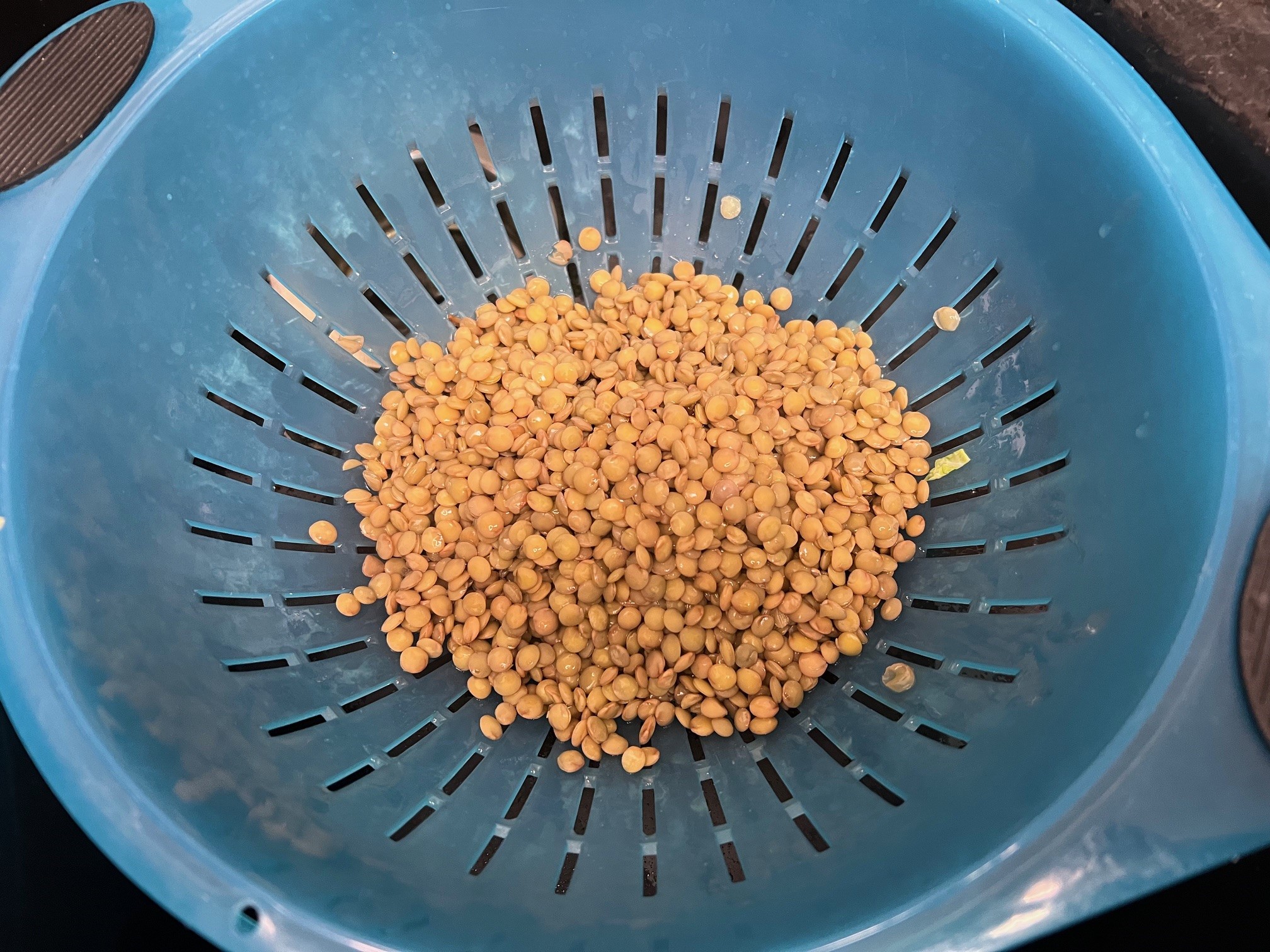 Lentils draining