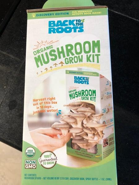 mushroom kit before