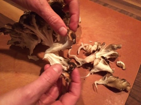 Properly cleaning Maitake or Hen of the Woods Mushrooms