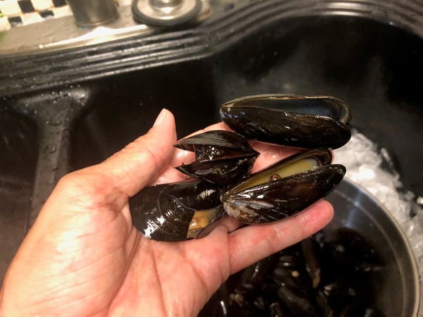 open mussels
