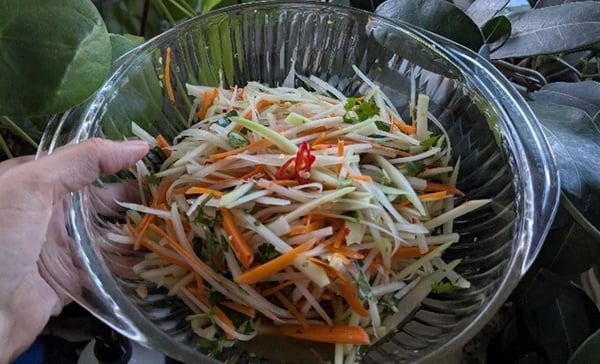 Papaya salad in bowl