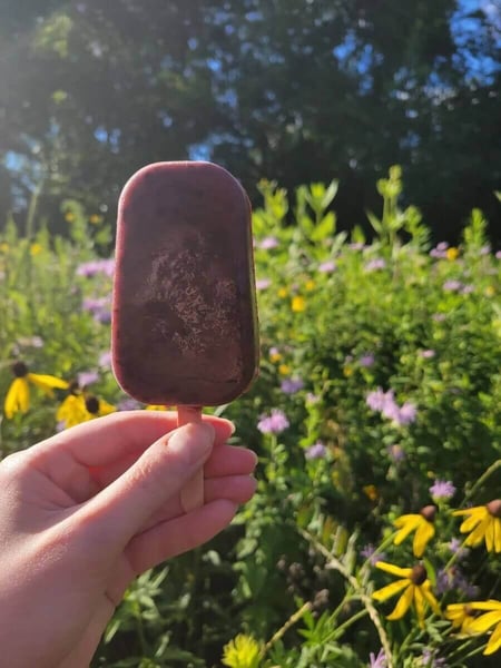 popsicle and flowers