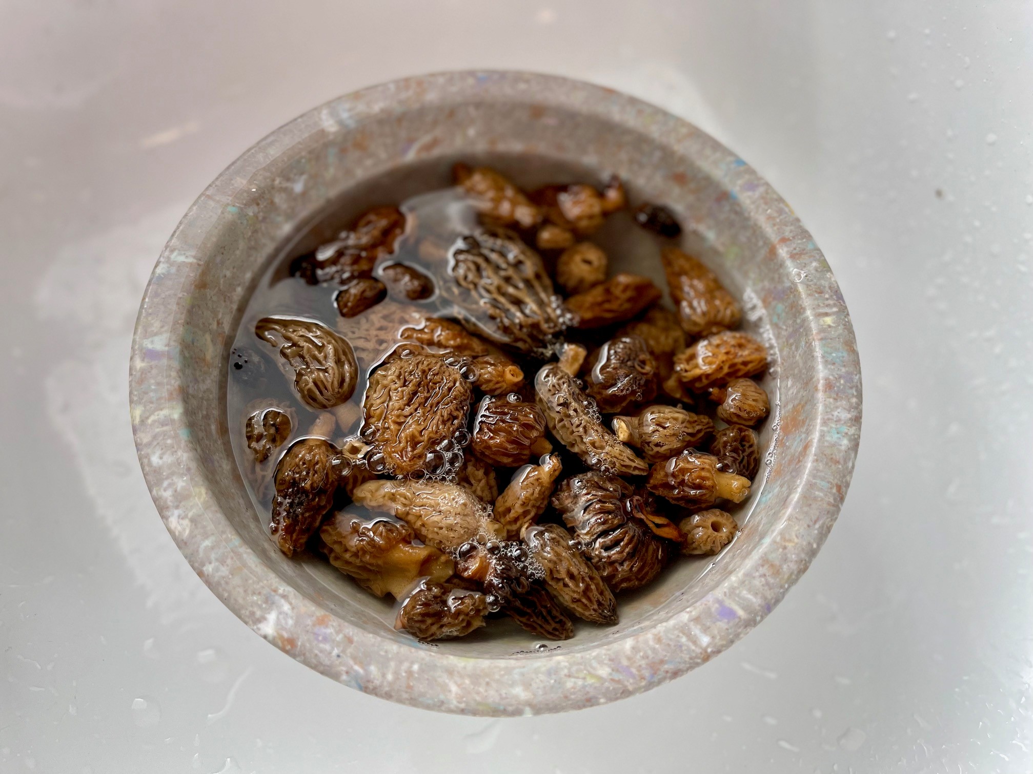 Soaked morels