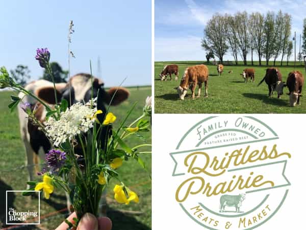 res.cloudinary.comoccsnimageuploadv1713991670productsDriftless_Prairie_Collage_1200_x_900_jpojlm-3