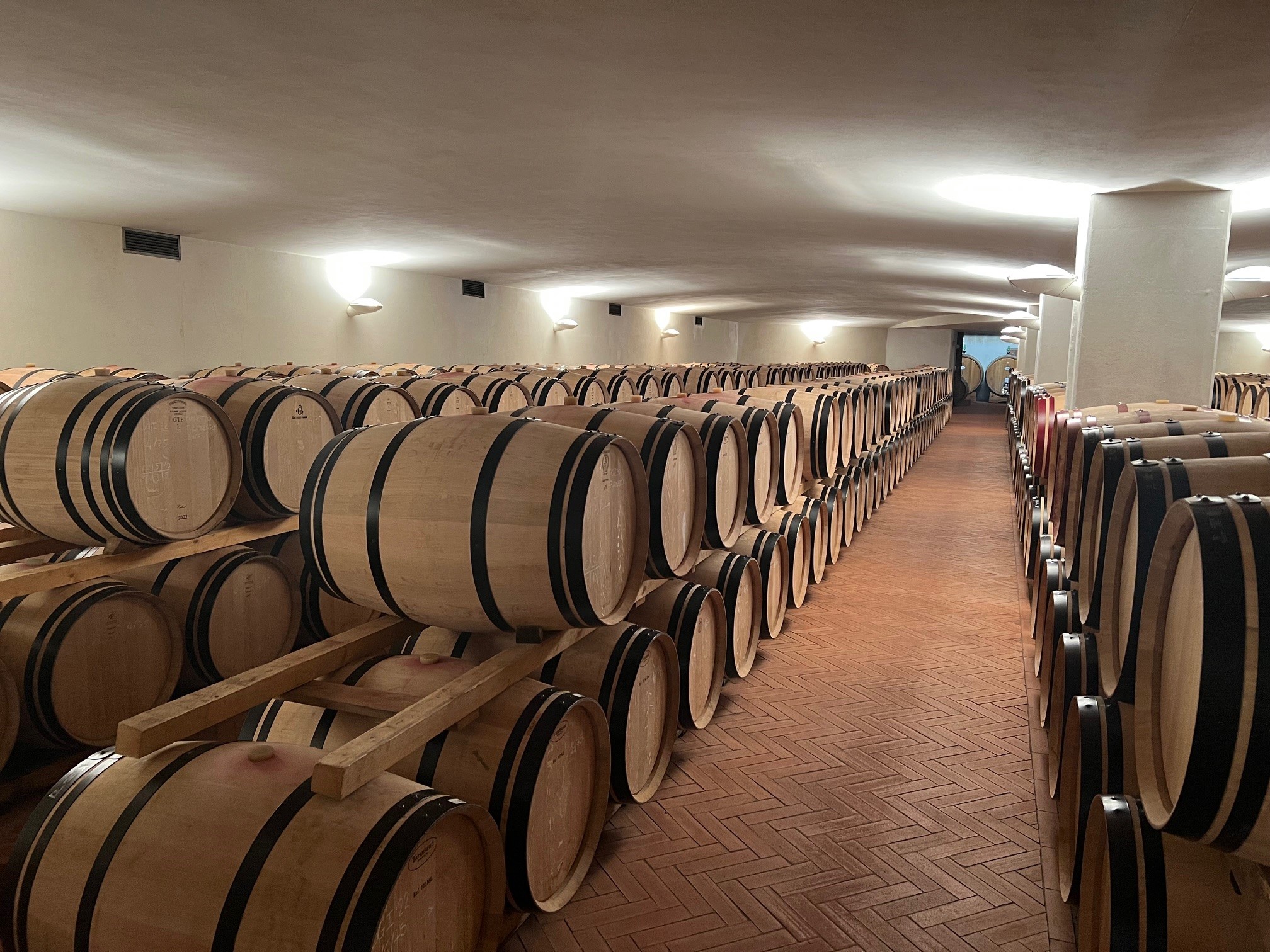 Wood barrels in cellar