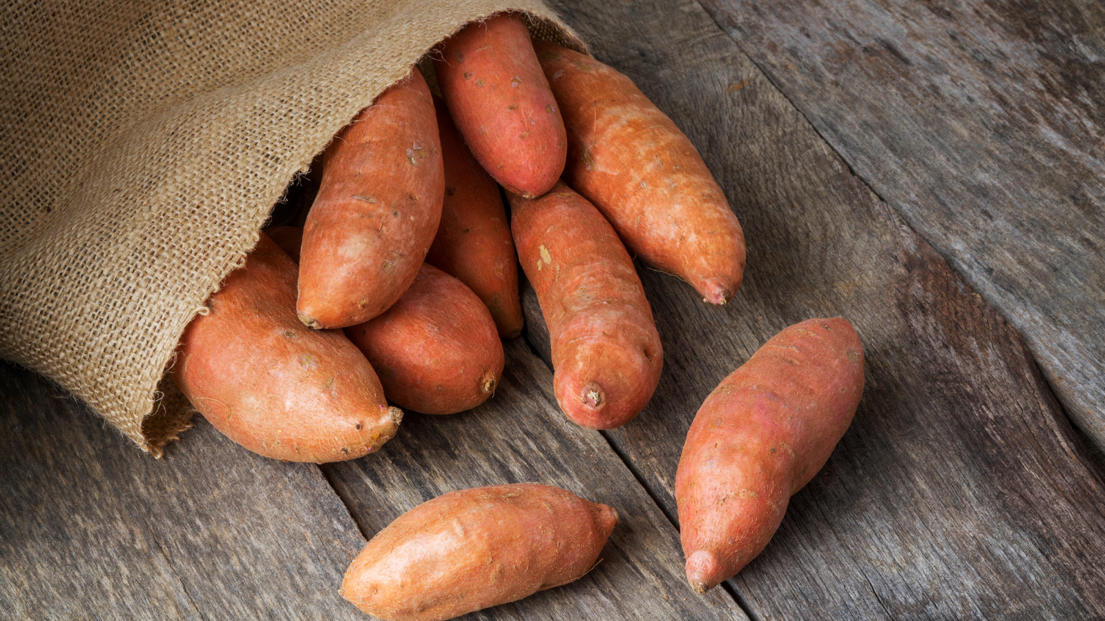 Sweet Potatoes are not Boring.