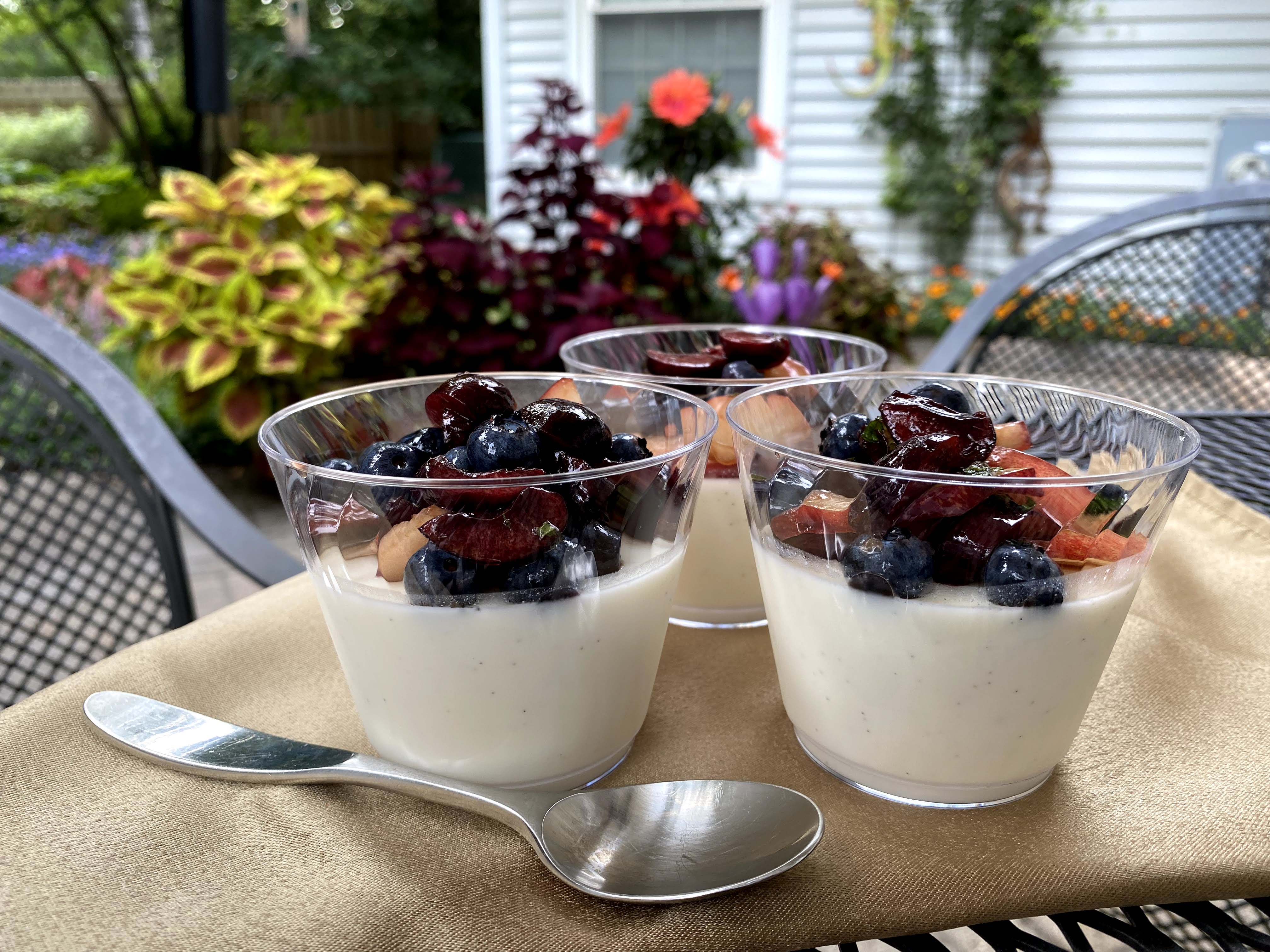 Picnic Panna Cotta with Summer Fruit