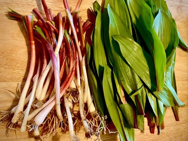 Soy Pickled Ramps
